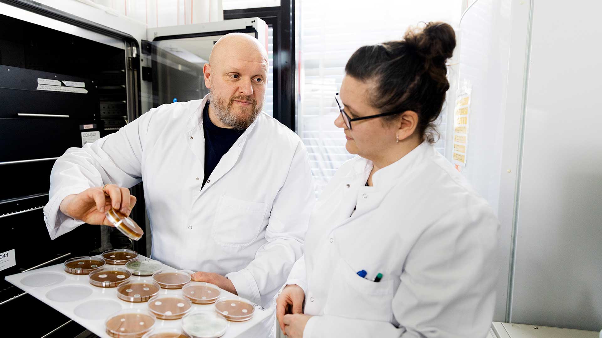 Projektleder Niels Bjerg Jensen og laborant Wiebke Marina Findeisen fra DTU Bioengineering arbejder i et projekt, der skal finde stoffer fra svampe, som kan erstatte pesticider i landbruget. Foto: Thomas Steen Sørensen