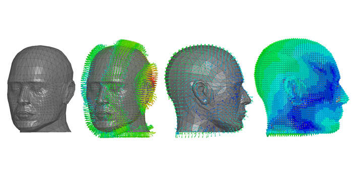 A so-called SAM head is used to optimize the antennas in hearing aids. Here a small antenna has been placed behind the ear. The green arrows show the electric field formed by the antennas. They also show where and in which direction the waves travel. Illustration: GN Resound