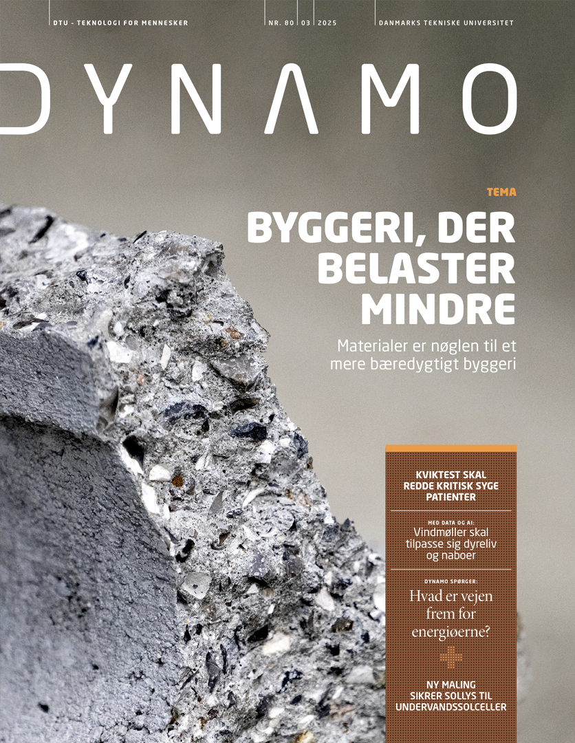 Dynamo nr. 80