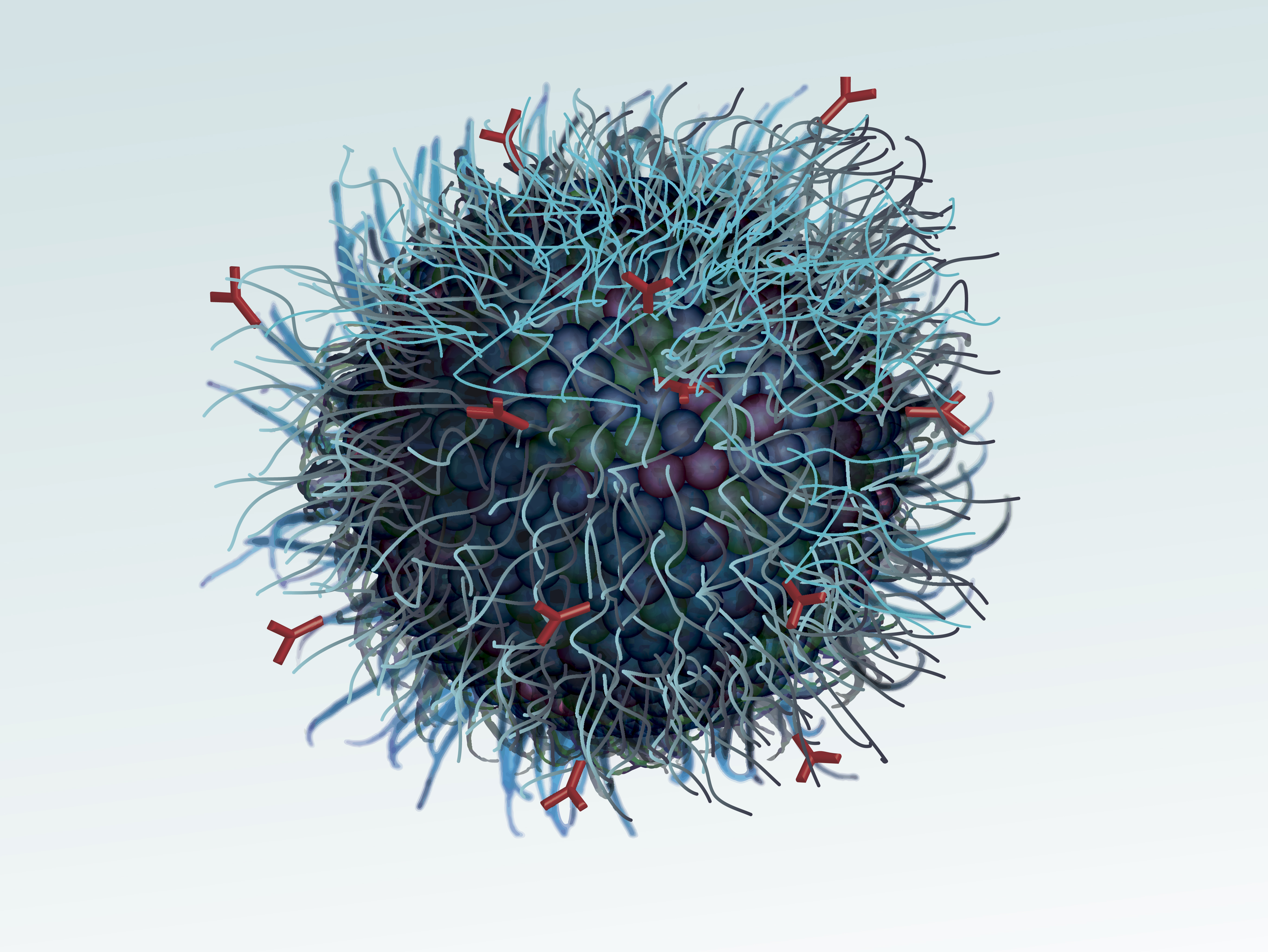 Drugdelivery with nanoparticles