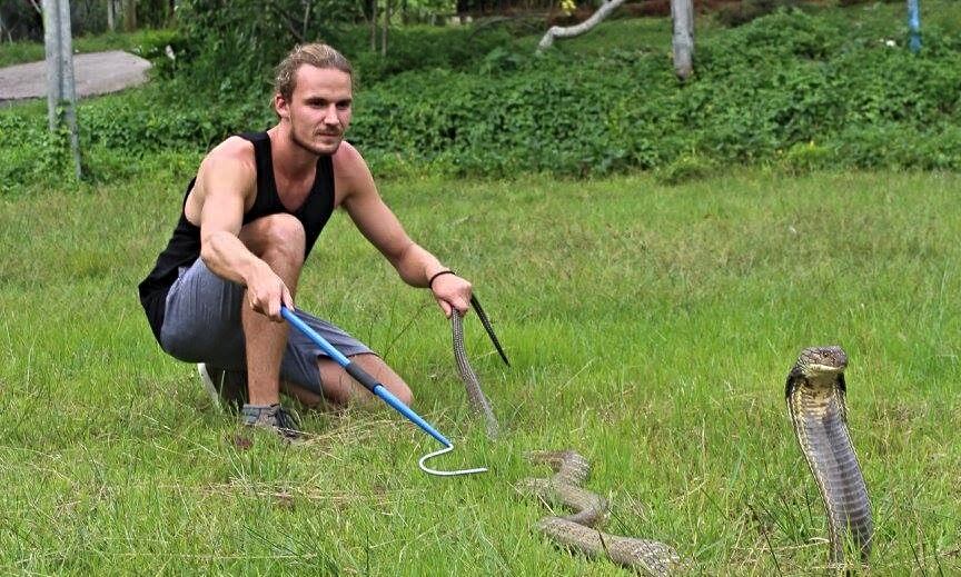 Photo: Christoffer Vinther Sørensen in the company of the world’s longest venomous snake—the king cobra in Indonesia. Private photo. 