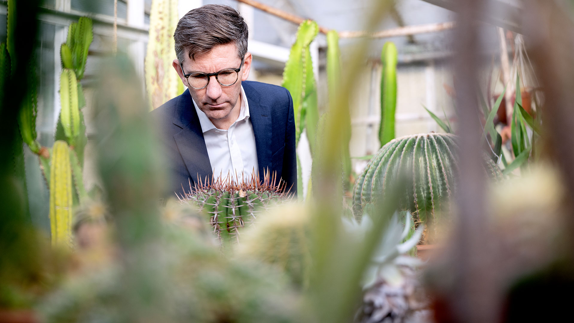 Mand nærstuderer en kaktus. Foto: Bax Lindhardt