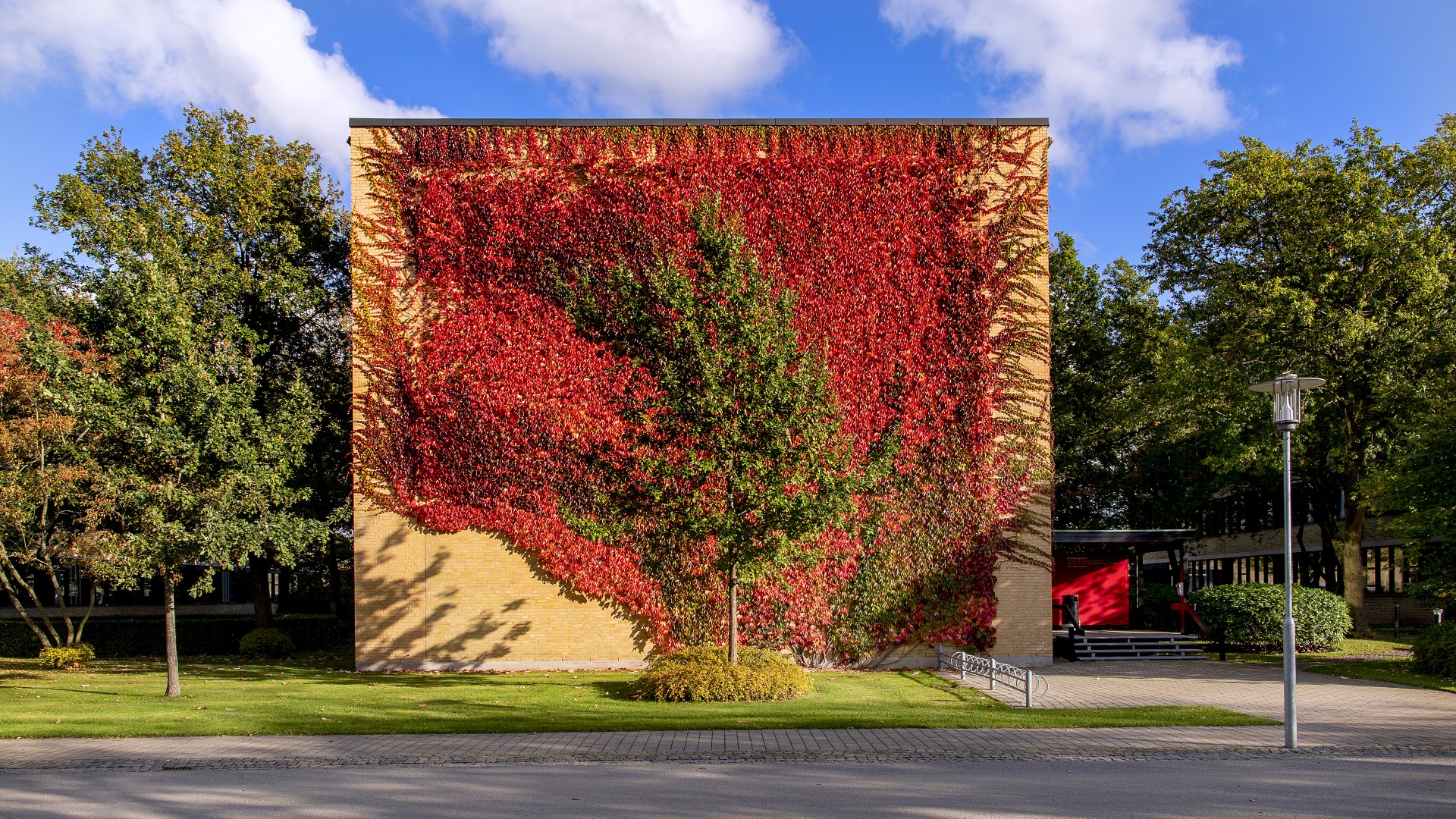 Lyngby Campus efterår