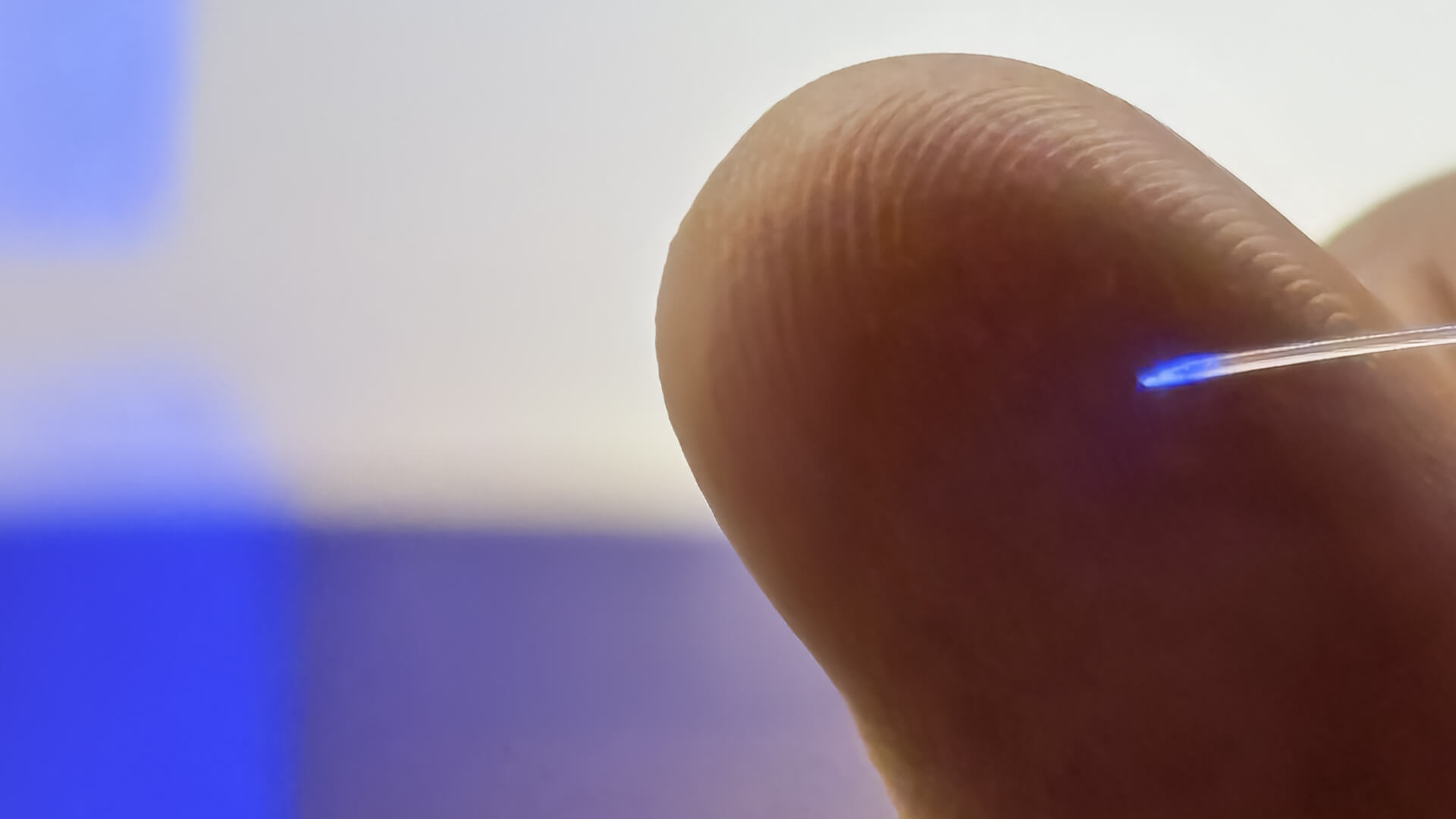 Fiberen i hjerneimplantatet er under en halv millimeter tyk og er så fleksibel, at den bevæger sig med hjernen i stedet for at skære gennem vævet. Foto: Peter Aagaard Brixen