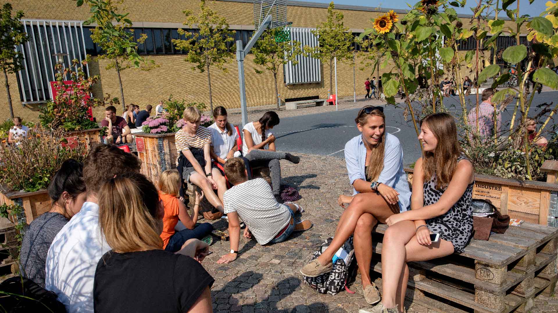 Studieliv på DTU Lyngby Campus