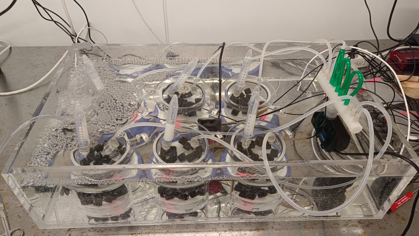 Experimental setup in a laboratory