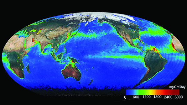 Havenes primærproduktion i maj 2023 set fra rummet med Global Imager