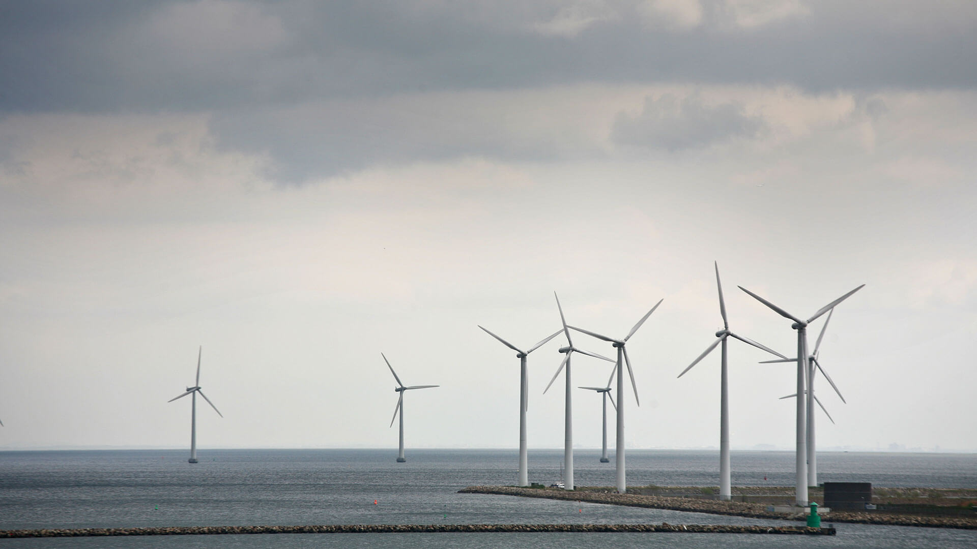 Wind farm outside of Copenhagen
