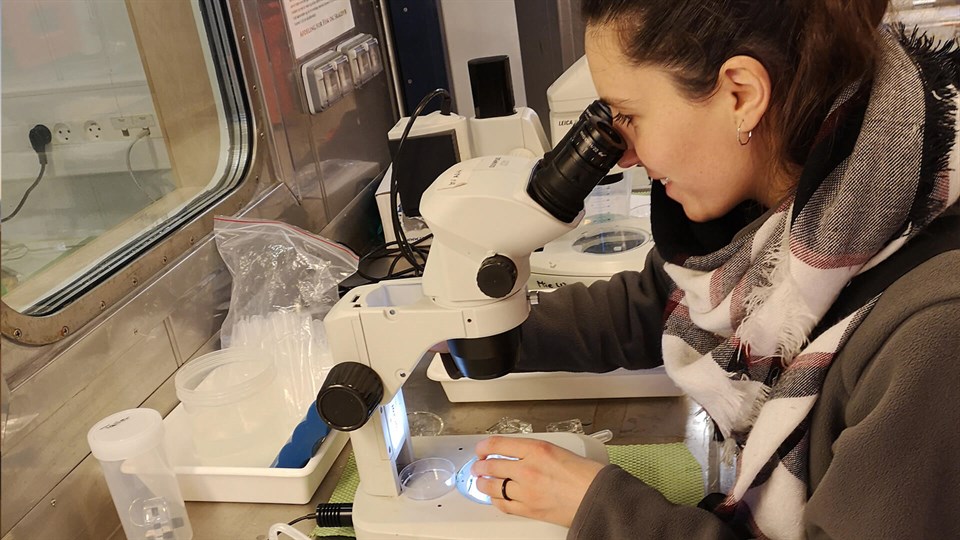 Female scientist looking into a microscope