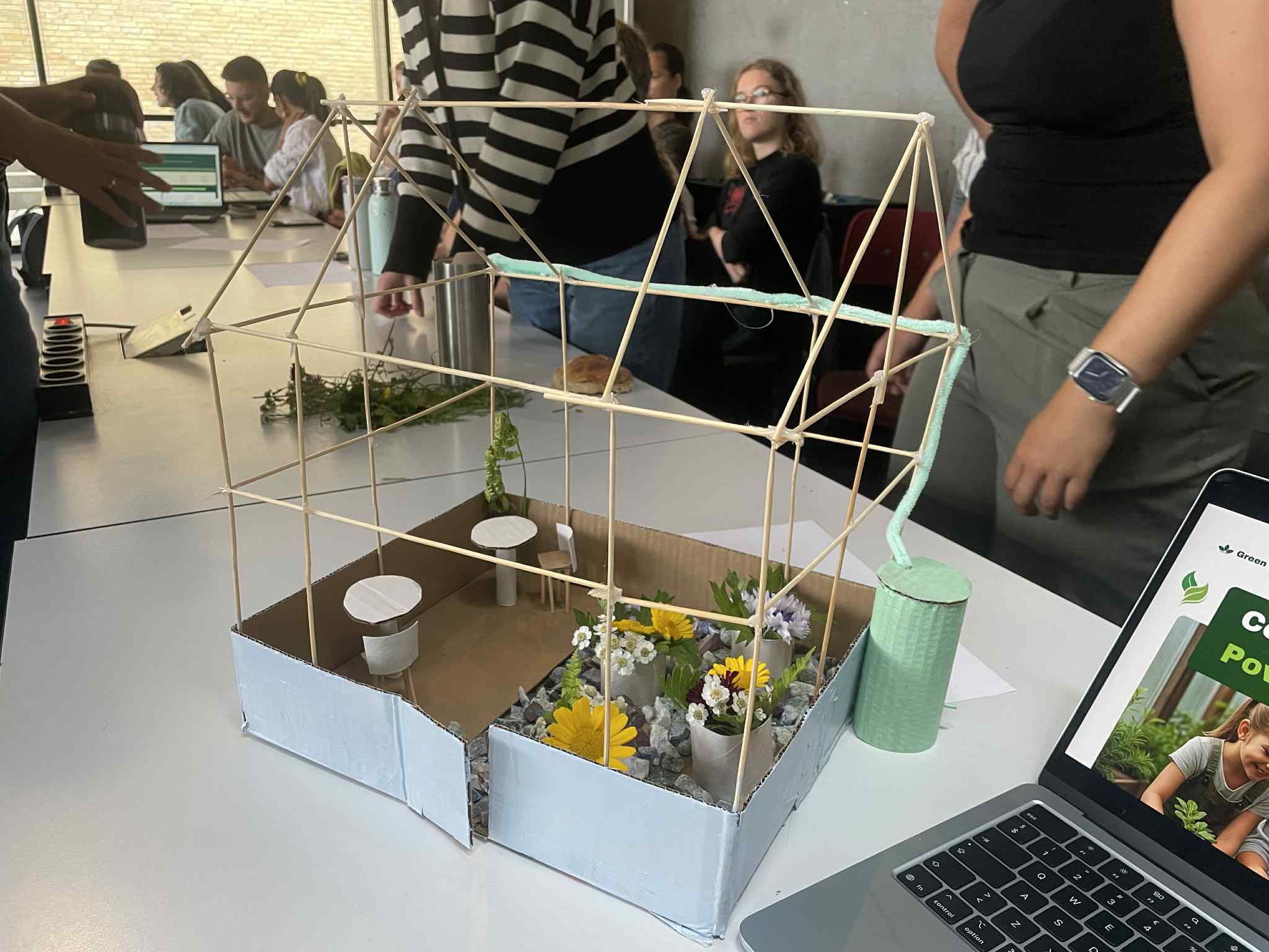 Model of local greenhouse