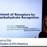 DTU Chemistry - PhD videos 2017
